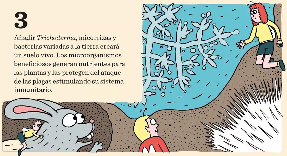 El cannabis come por los pies: doce pasos para mantener sanas las raíces 