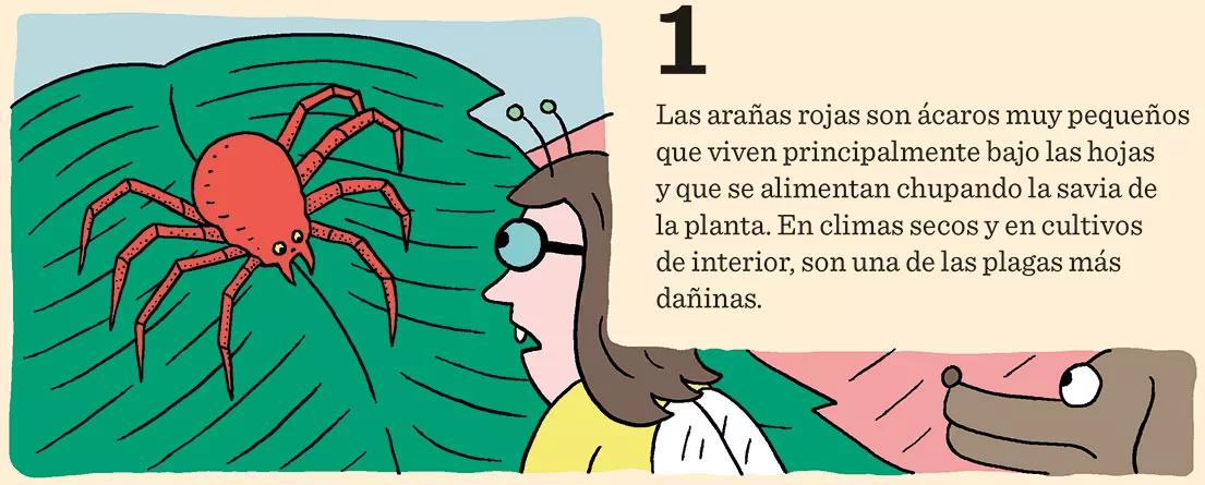 Las nueve peores plagas del cultivo y cómo combatirlas 