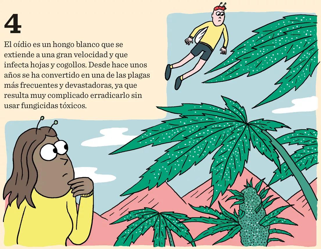 Las nueve peores plagas del cultivo y cómo combatirlas 