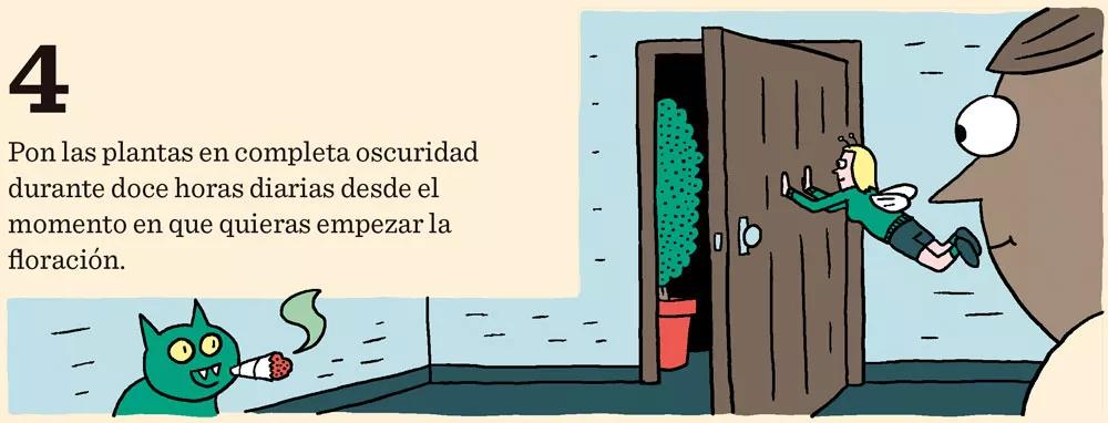 Cómo cosechar dentro de sesenta días o menos: doce pasos para controlar la floración 