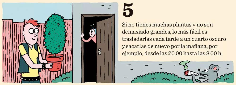 Cómo cosechar dentro de sesenta días o menos: doce pasos para controlar la floración 