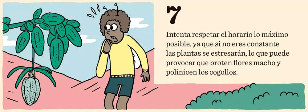 Cómo cosechar dentro de sesenta días o menos: doce pasos para controlar la floración 