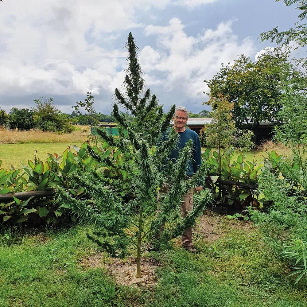 Jules Stobbs posando en el jardín a pocos días de la cosecha.