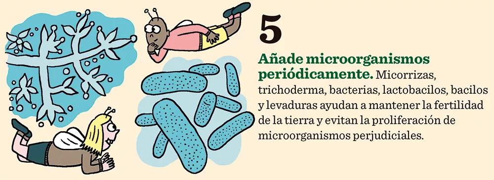 Once claves para la fertilización: como conseguir los mejores cogollos