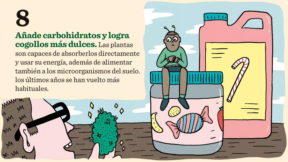 Once claves para la fertilización: como conseguir los mejores cogollos