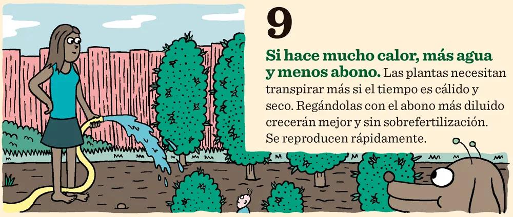 Once claves para la fertilización: como conseguir los mejores cogollos