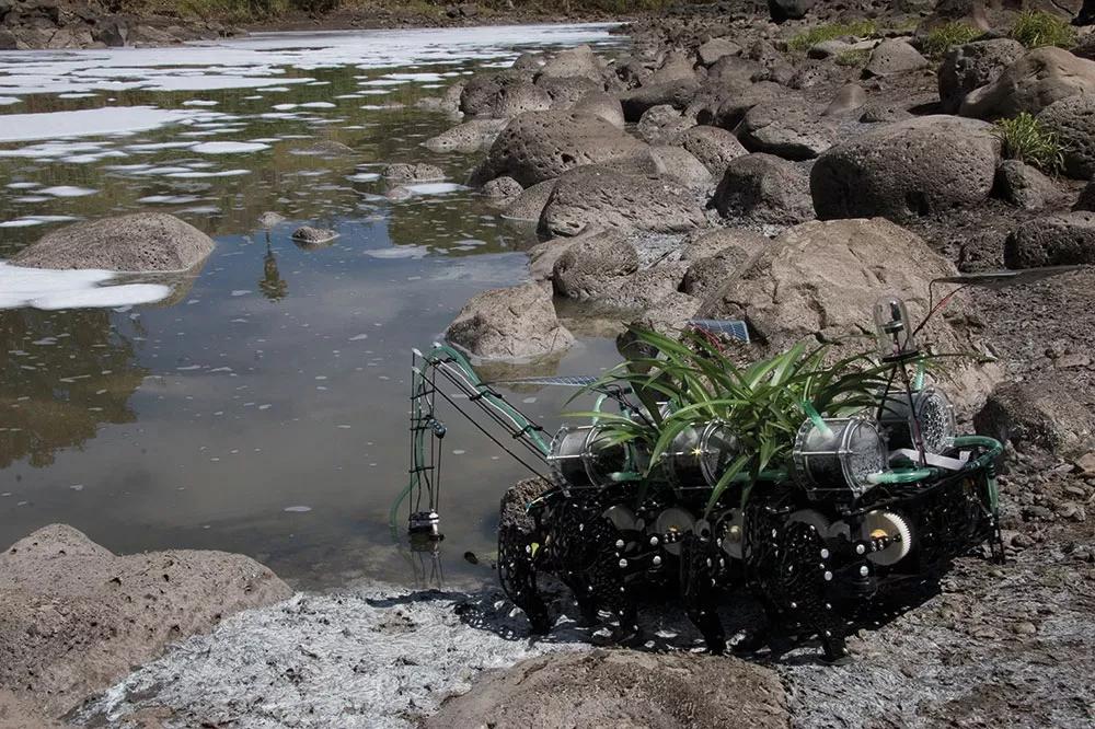Estos robots con vegetación incorporada son las Plantas nómadas de Gilberto Esparza: la planta como un sistema autónomo que es capaz de ir a buscar su propio sustento al río.