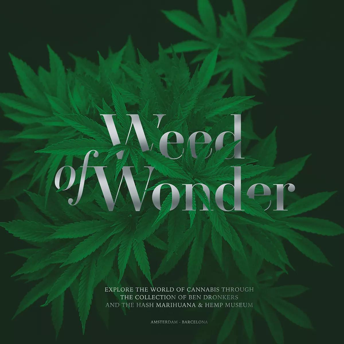 Weed of Wonder, el libro ilustrado sobre la historia del cannabis