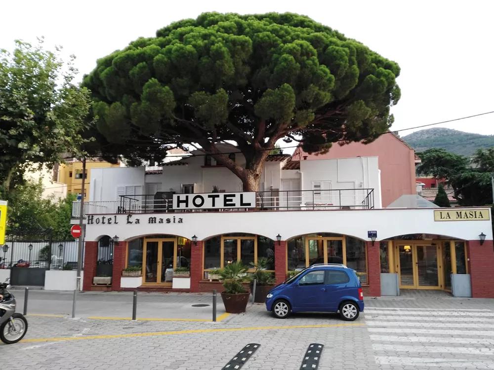 El hotel La Masía, embellecido y protegido por un árbol que lo envuelve en grave y jovial familiaridad.