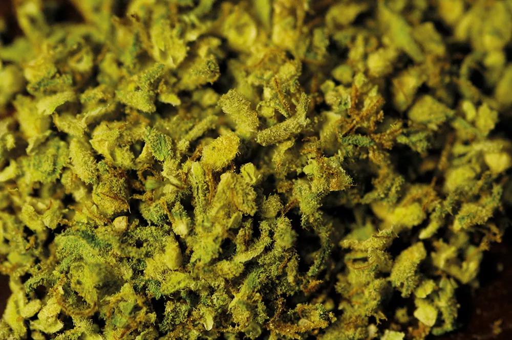 Trocea y descarboxila previamente la marihuana que vayas a infusionar en aceite de oliva o cualquier otro método de consumo sin calor. 