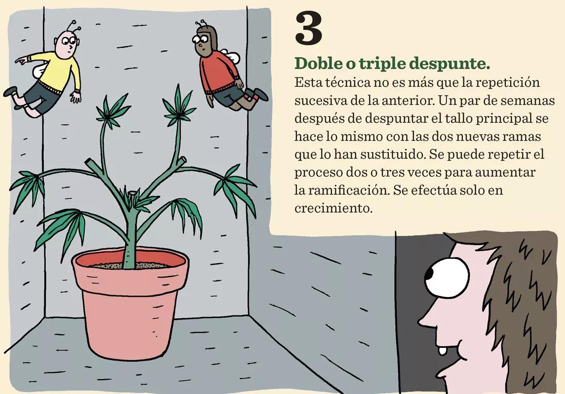 Siete técnicas para podar las plantas en interior 