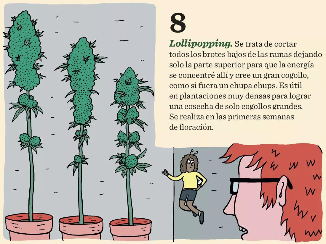 Siete técnicas para podar las plantas en interior 