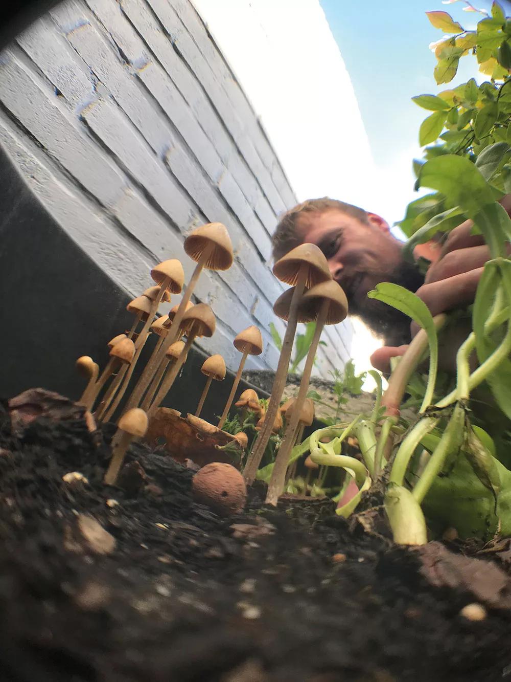 Mossy en su jardín mirando a sus amigos los hongos.