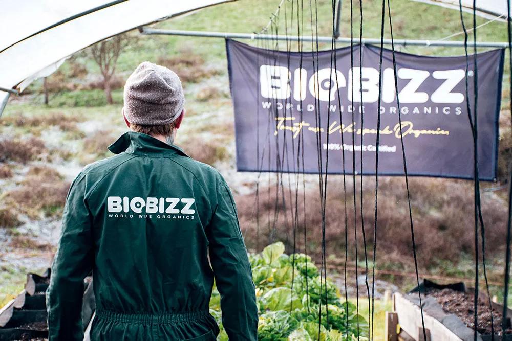 Entrevista a Luis Pinheiro por los treinta años de Biobizz