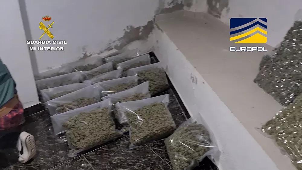 Desde Andalucía hasta Alemania: 44 personas detenidas por la exportación de cannabis 