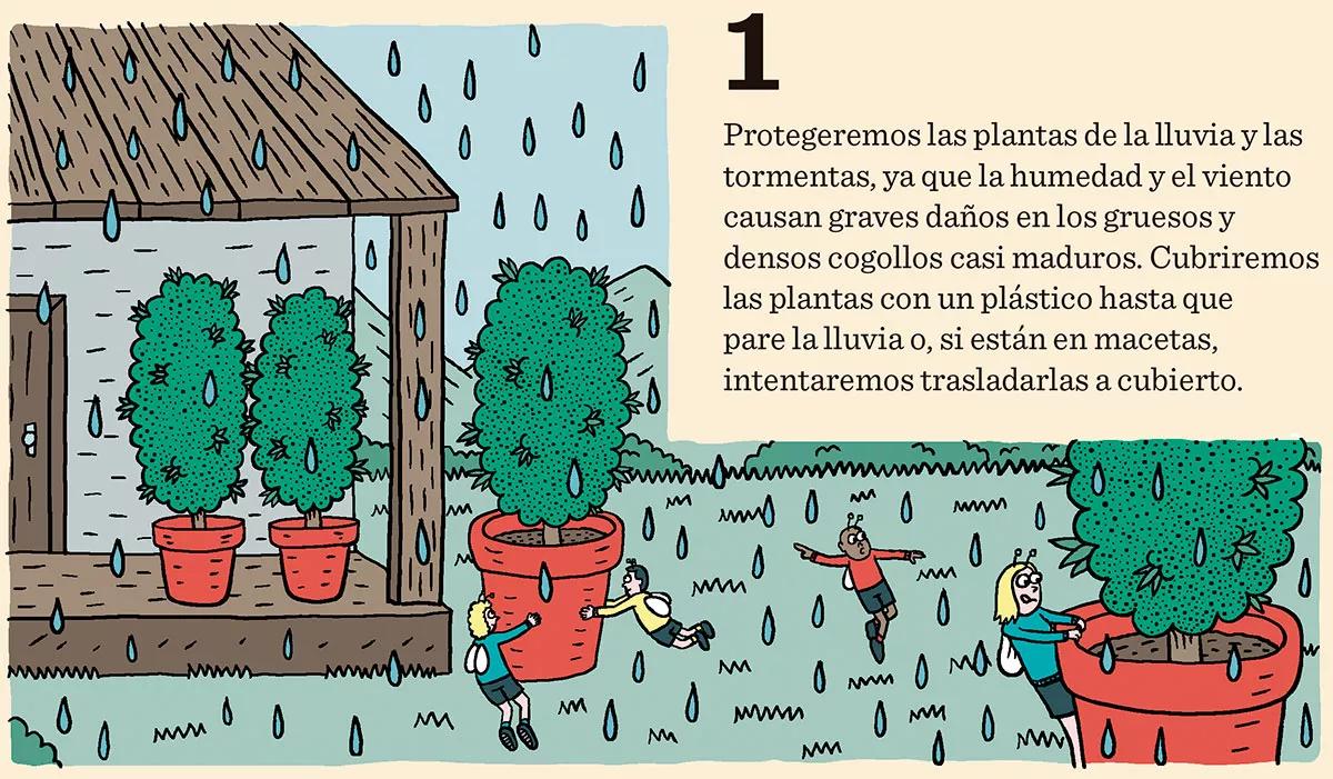 Ocho consejos para preparar la cosecha 