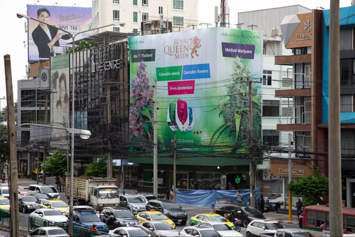 El edificio de cinco plantas