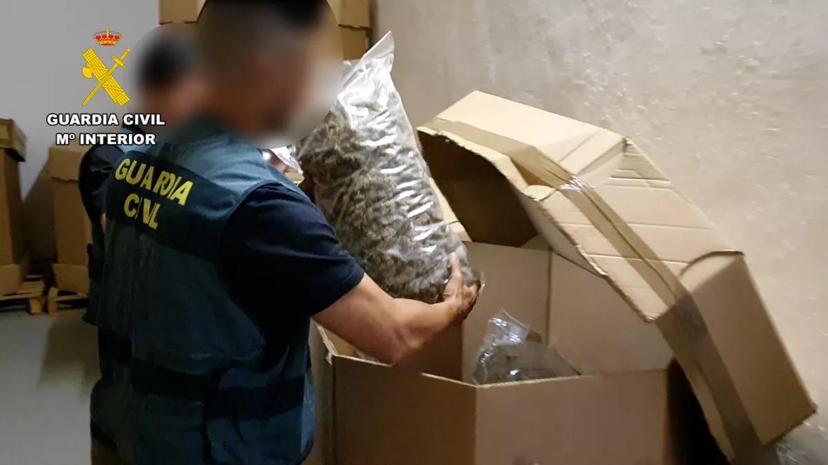 La Guardia Civil incauta un alijo de 32 toneladas de marihuana que podría ser cáñamo