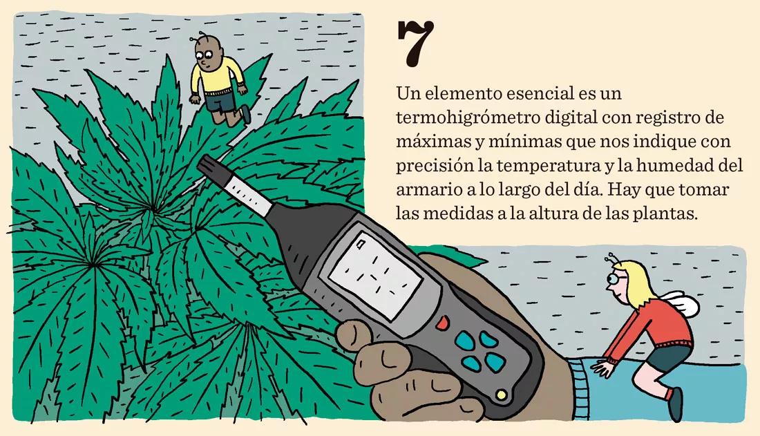 Diez pasos para empezar a cultivar con un kit de interior