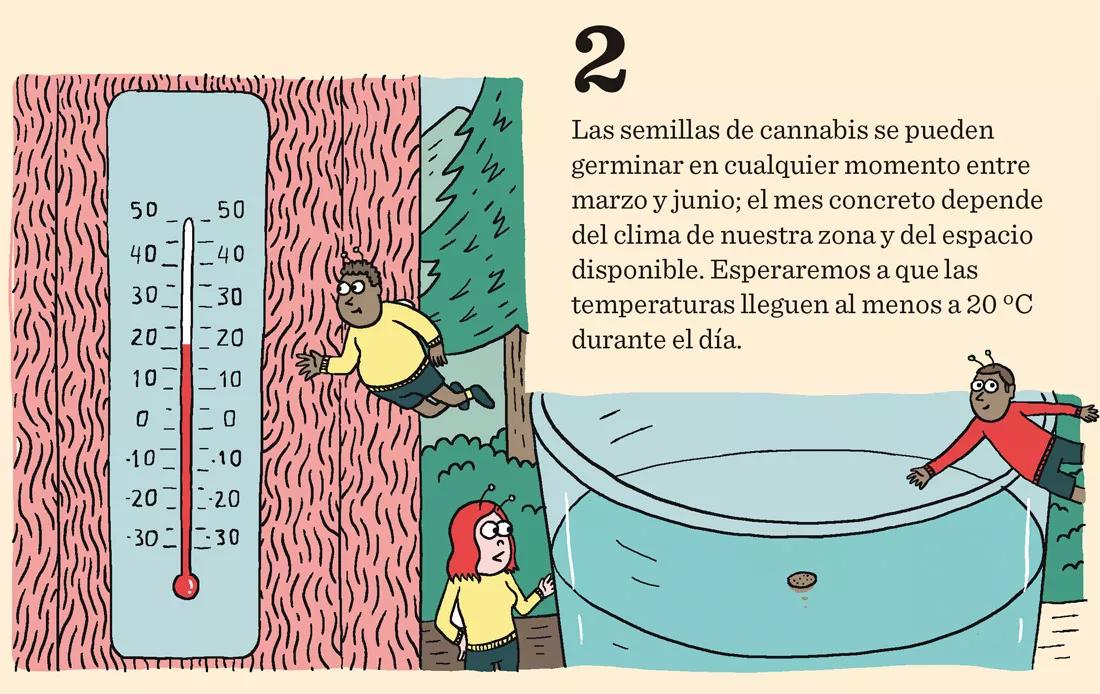 El inicio de la temporada: calendario de germinación para tener éxito