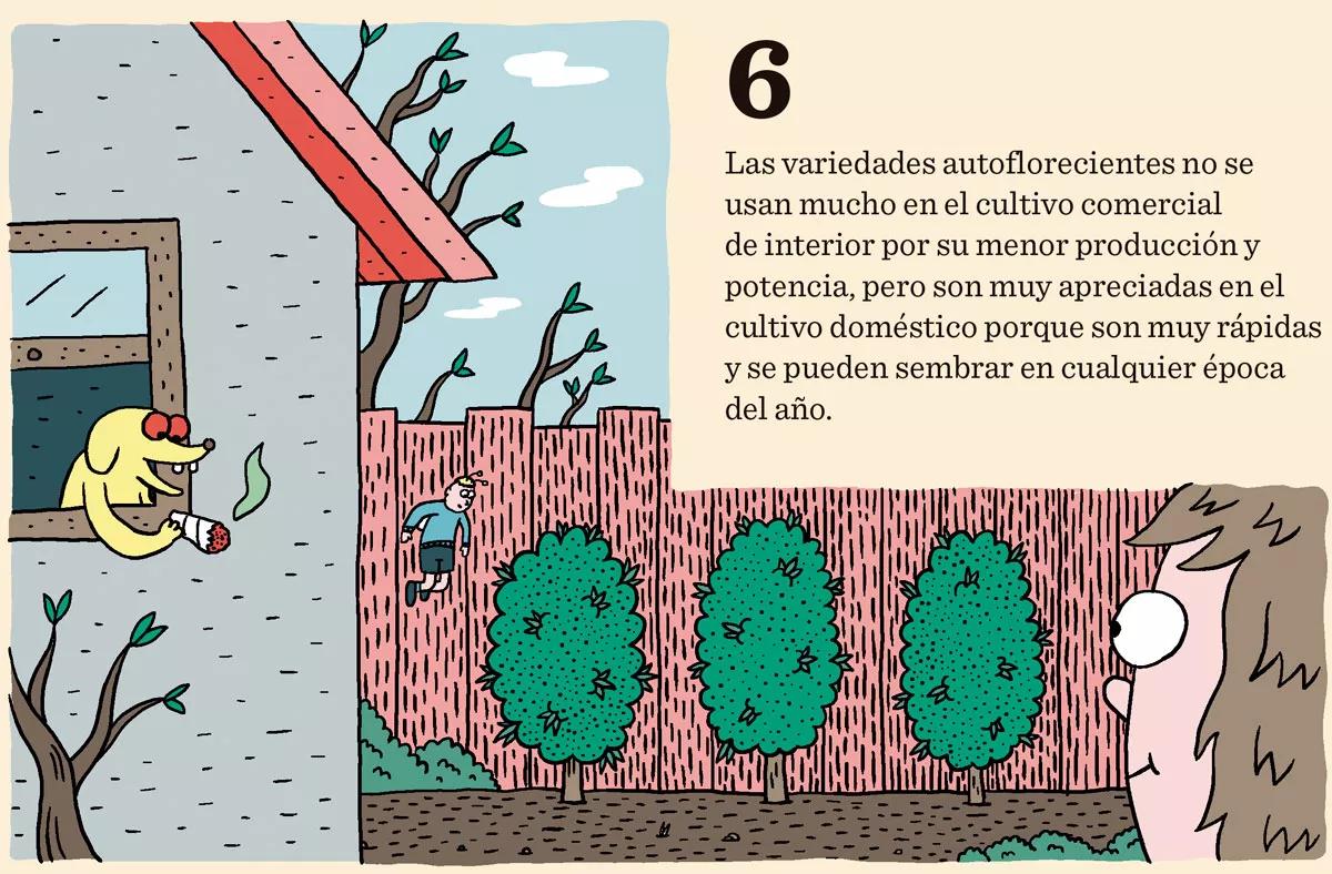 Diez consejos para escoger semillas 