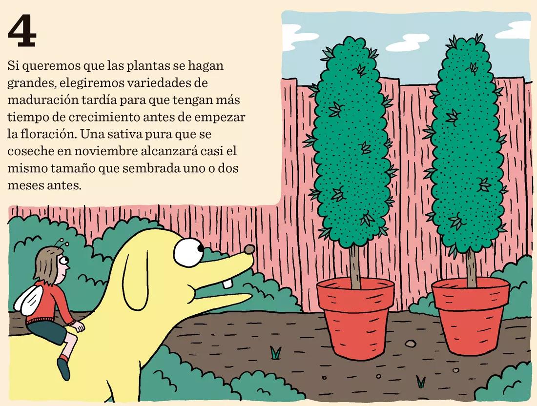 Sembrar en julio: diez trucos para cultivar a última hora