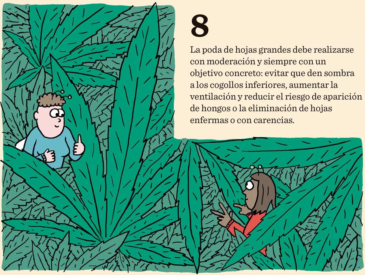 Ocho trucos y técnicas para manejar el tamaño y la forma de las plantas