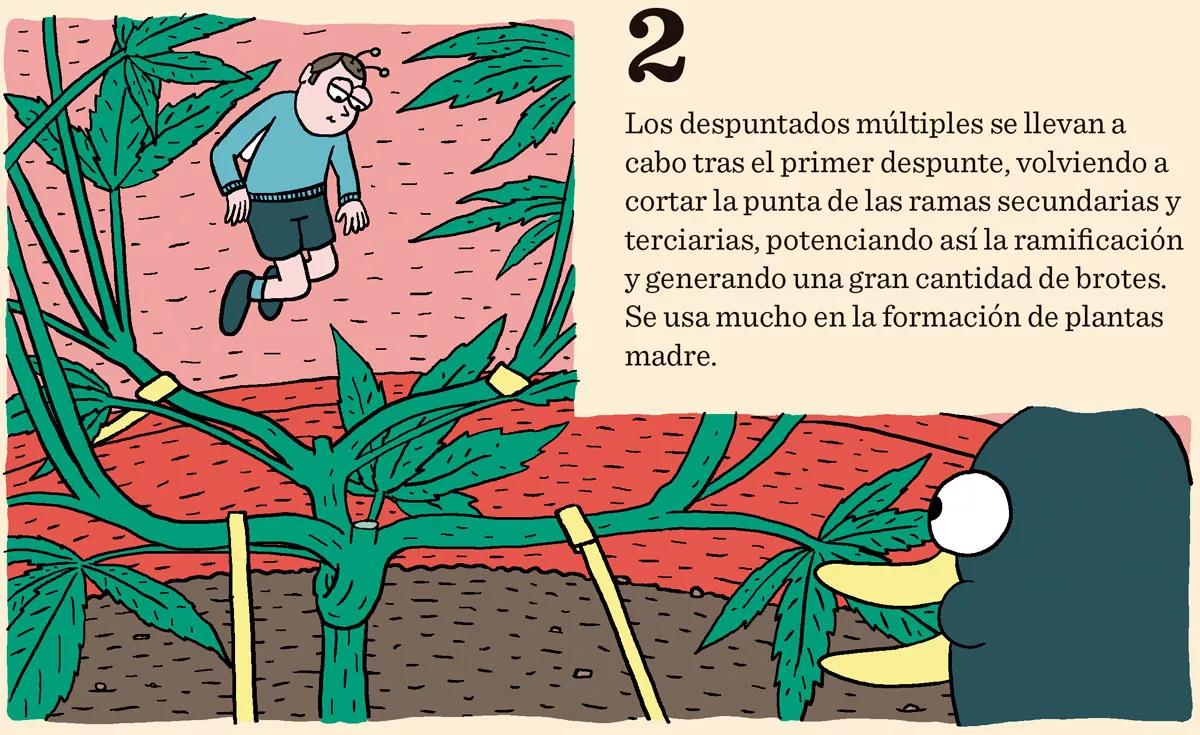Ocho trucos y técnicas para manejar el tamaño y la forma de las plantas