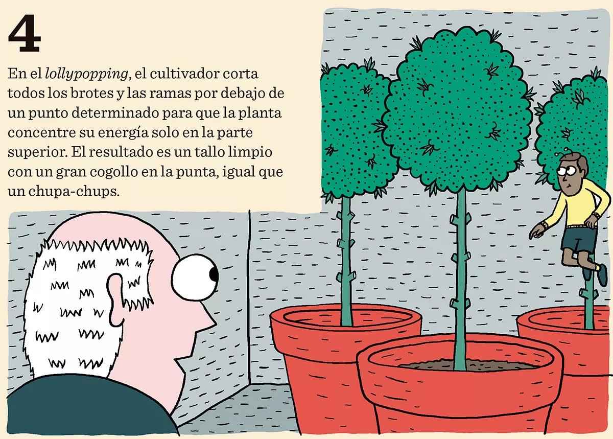Ocho trucos y técnicas para manejar el tamaño y la forma de las plantas
