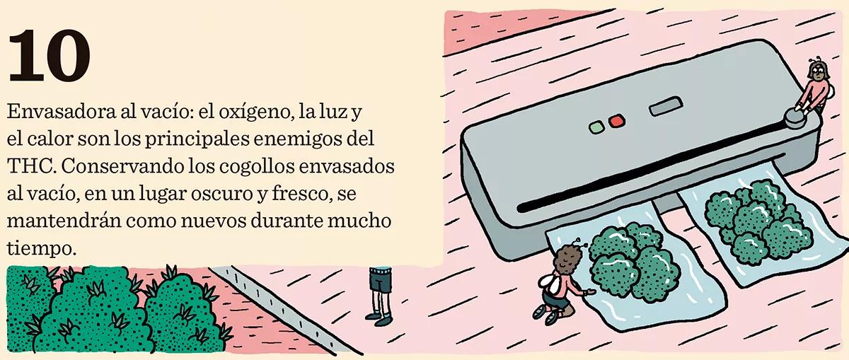Diez trucos para automatizar un cultivo de interior