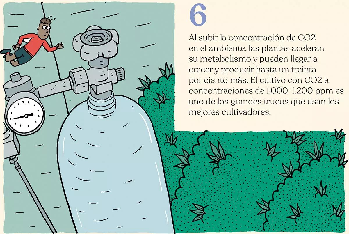 Nueve trucos para acelerar (o frenar) el crecimiento de las plantas en interior