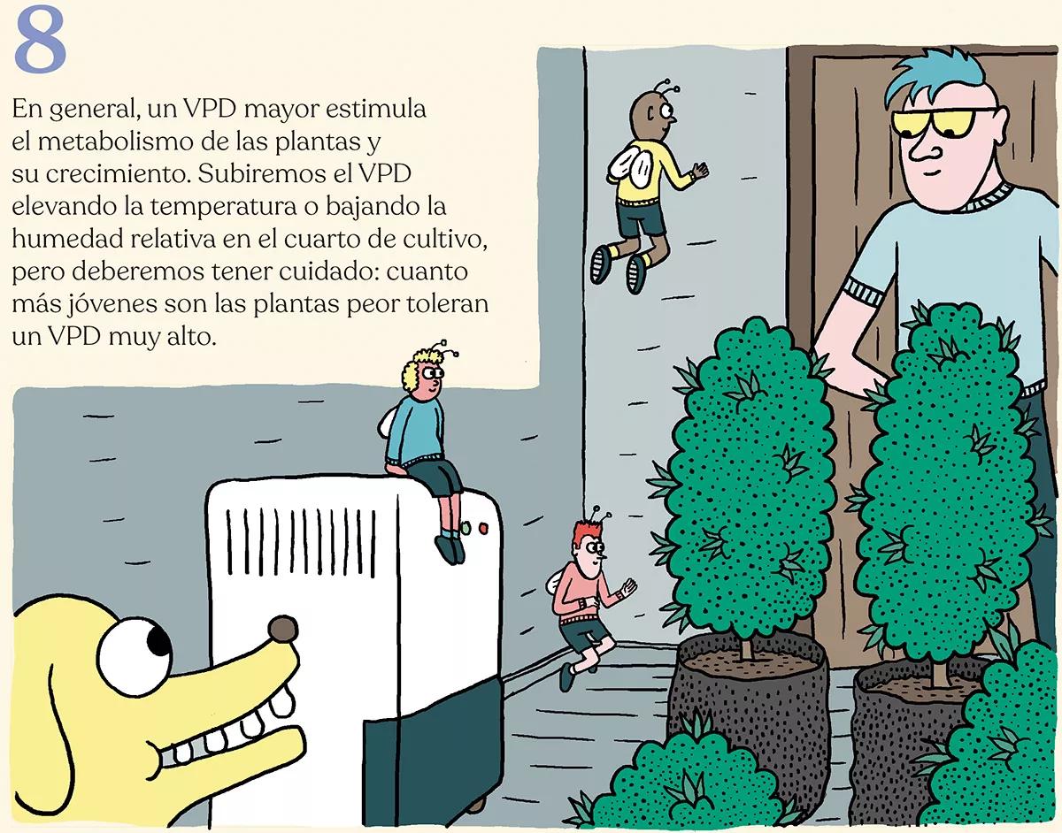 Nueve trucos para acelerar (o frenar) el crecimiento de las plantas en interior