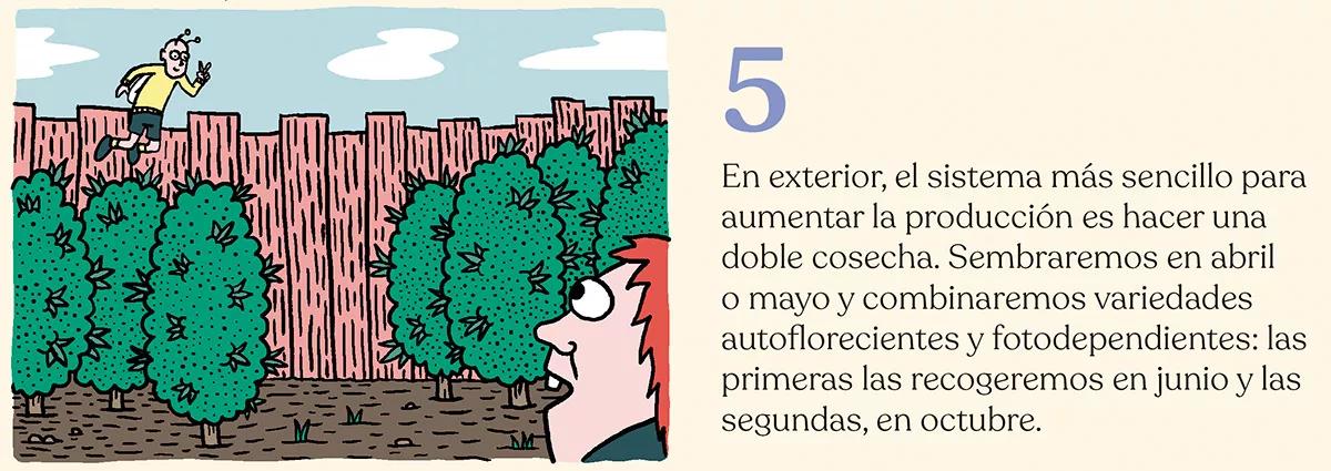 Diez trucos para planificar la temporada de cultivo