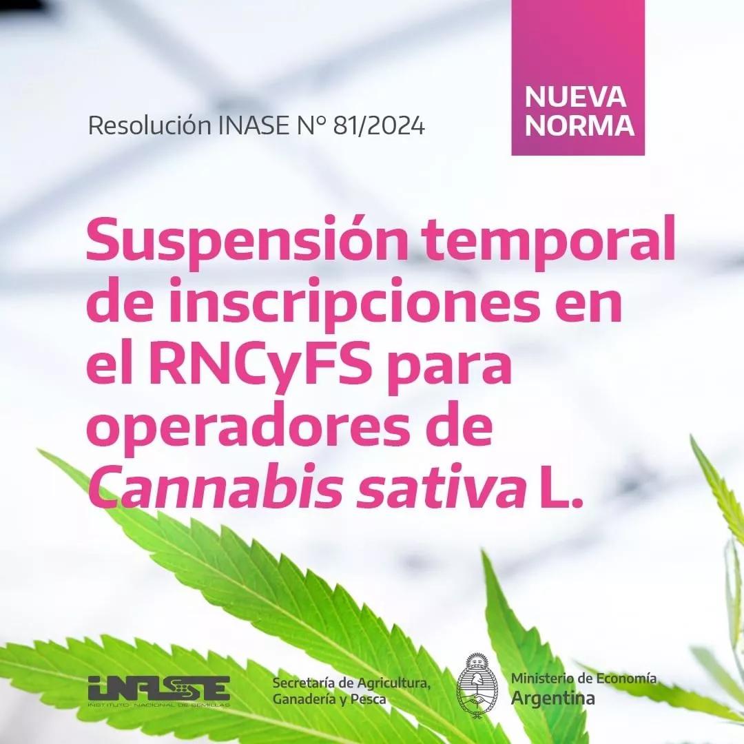 La Resolución INASE N° 81/2024 establece una suspensión temporal en las inscripciones de nuevos operadores al RNCyFS que desarrollen su actividad con la especie Cannabis sativa L. (cannabis psicoactivo).