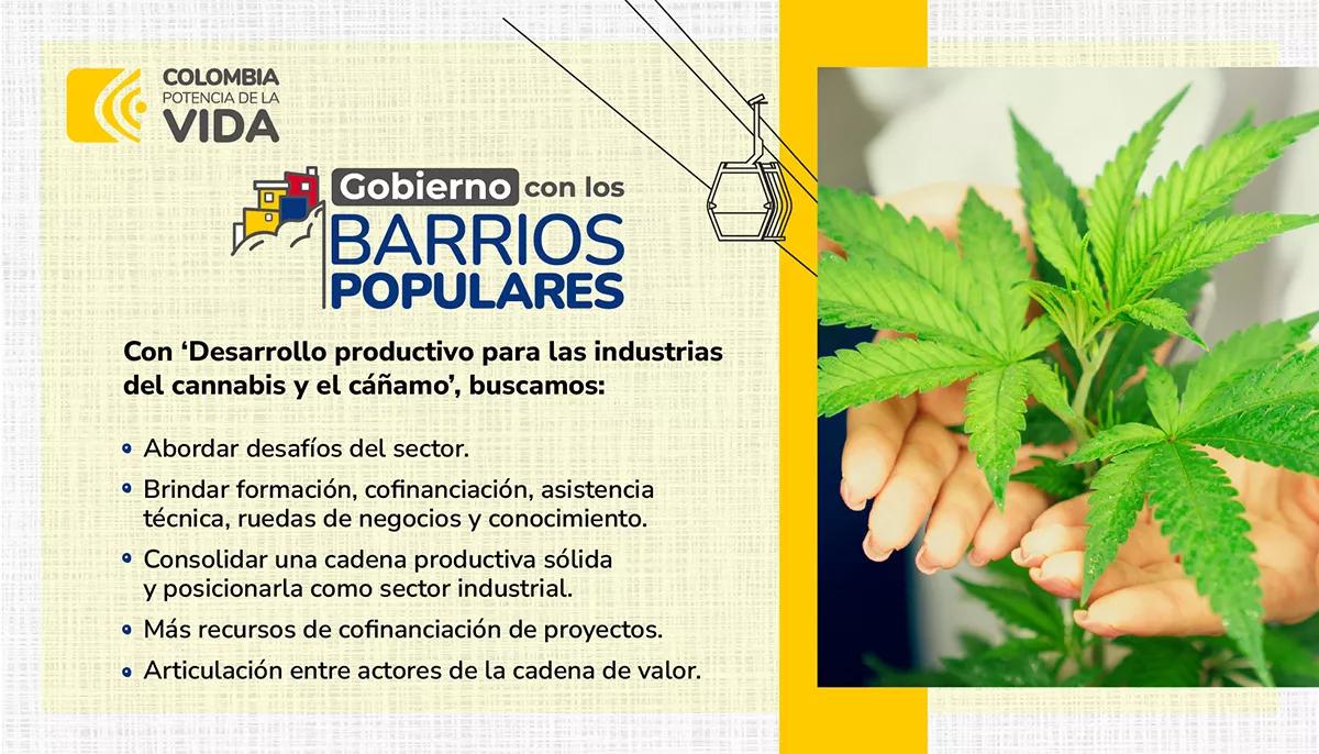 Colombia invierte más de un millón de euros para promover la industria del cannabis