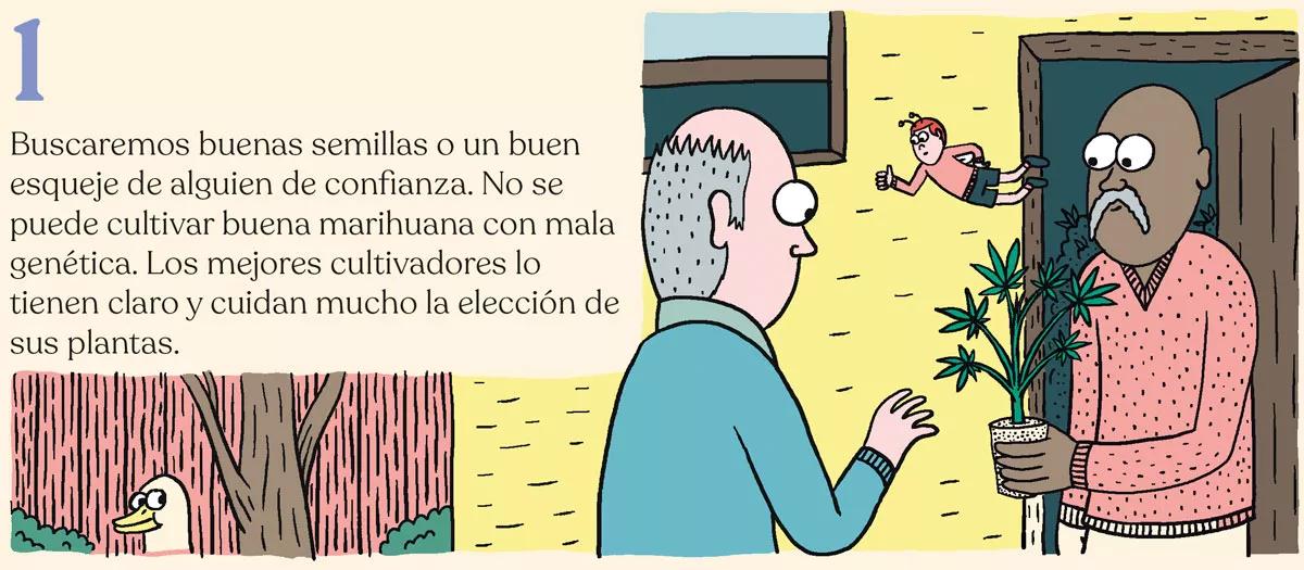 Los diez trucos de experto para cultivadores novatos