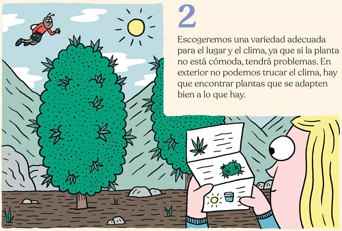 Los diez trucos de experto para cultivadores novatos
