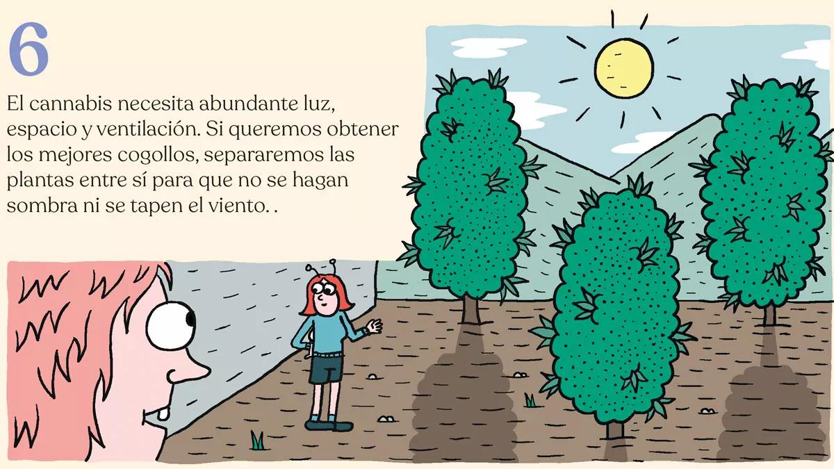 Los diez trucos de experto para cultivadores novatos
