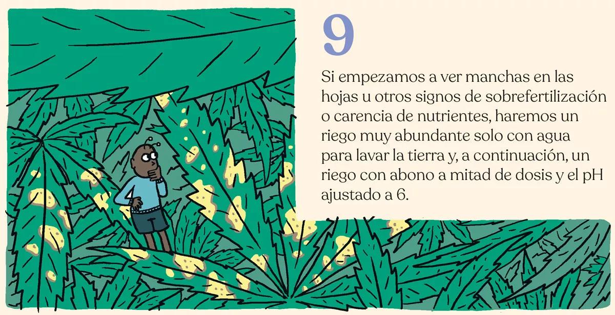 Los diez trucos de experto para cultivadores novatos