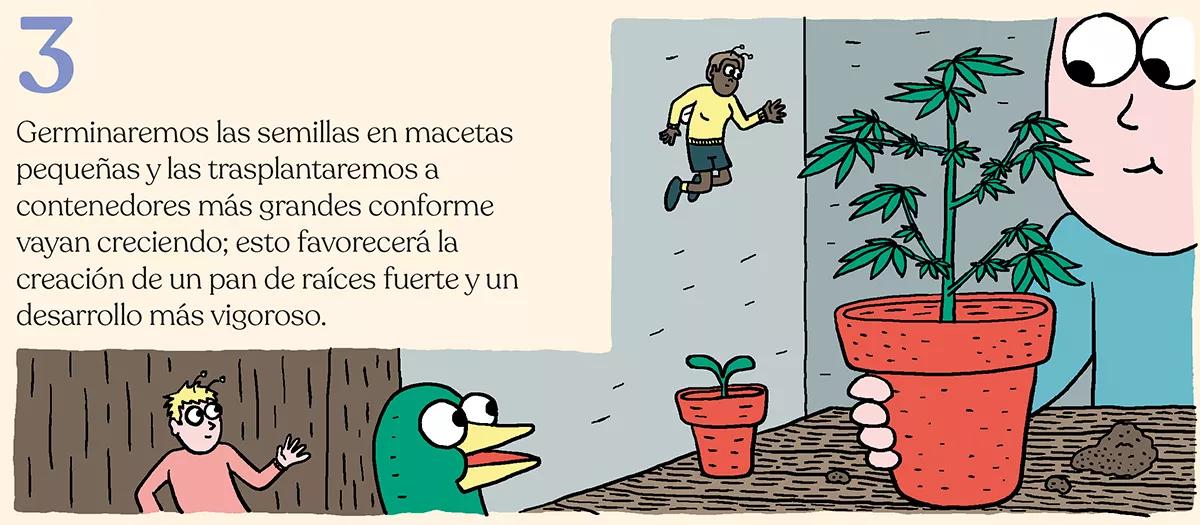Nueve trucos para acelerar el crecimiento