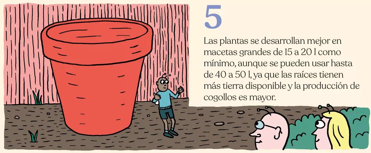 Nueve trucos para acelerar el crecimiento