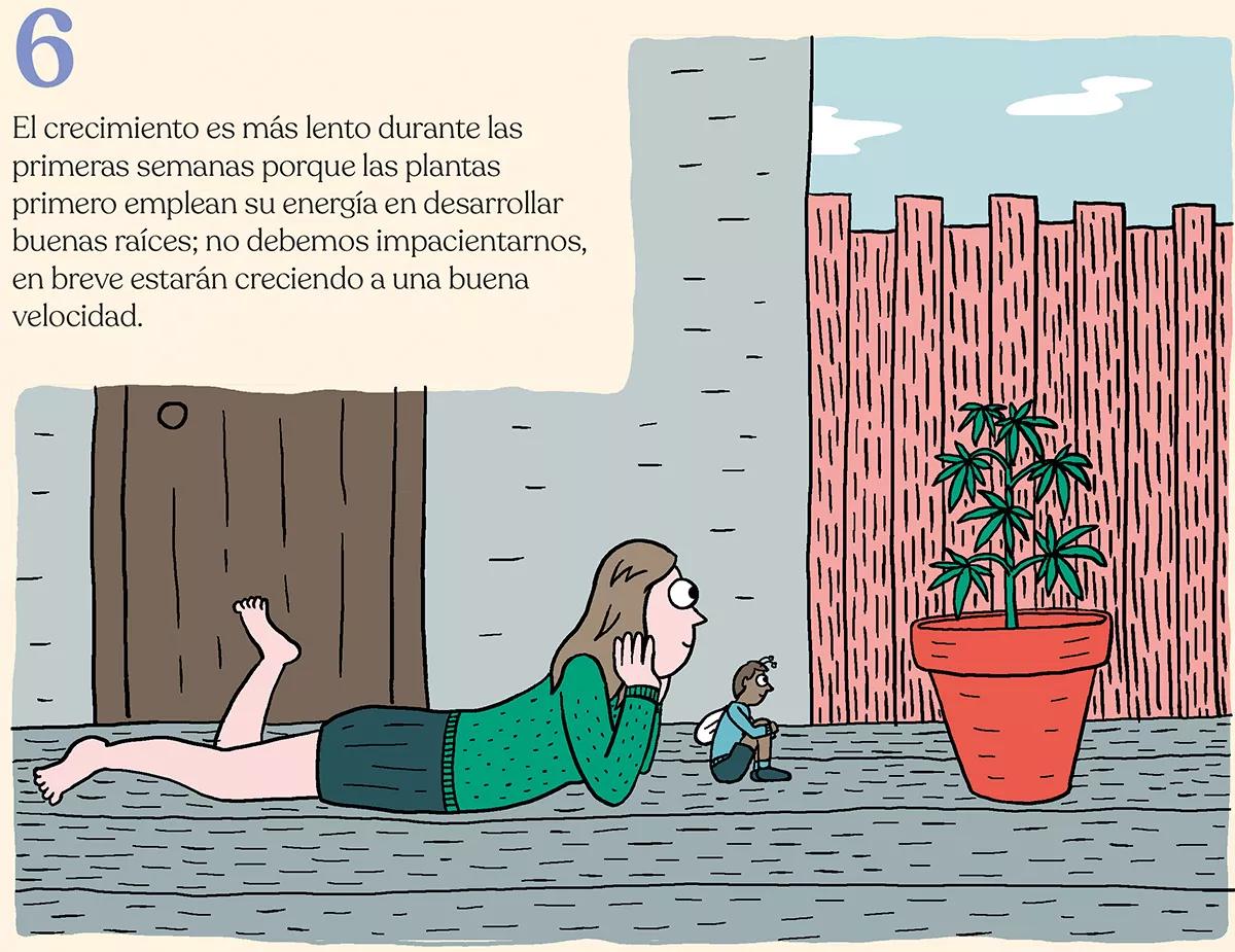 Nueve trucos para acelerar el crecimiento