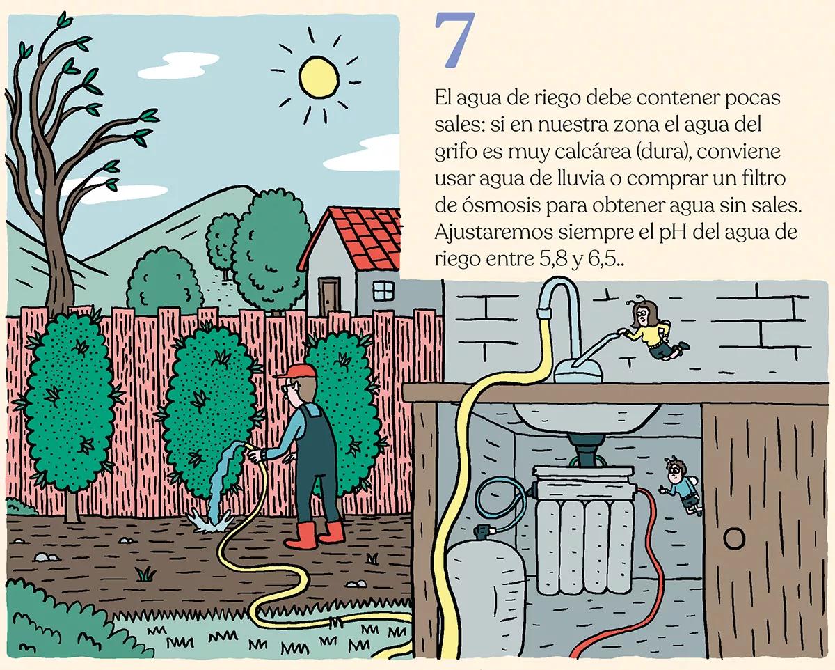 Nueve trucos para acelerar el crecimiento