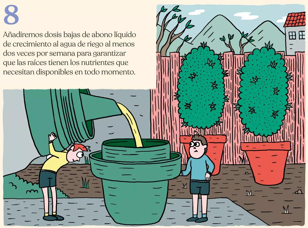 Nueve trucos para acelerar el crecimiento