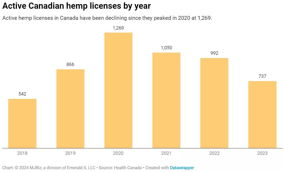 Las licencias activas de cáñamo en Canadá disminuyeron por tercer año consecutivo