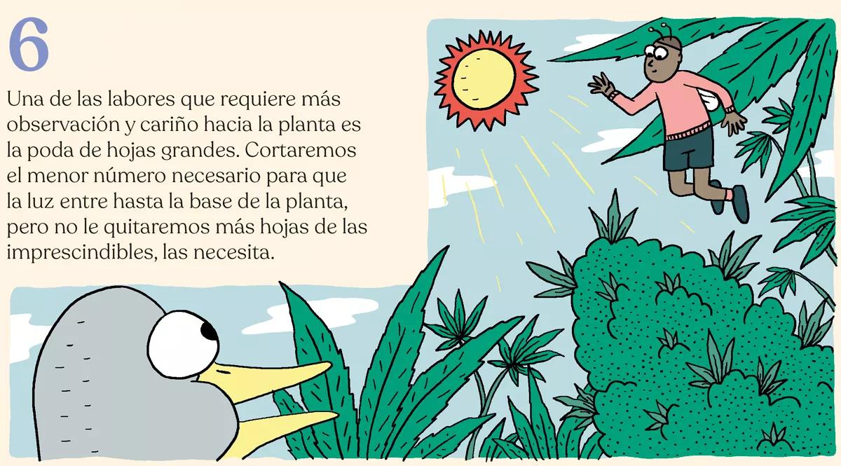 La simbiosis con la planta de cannabis