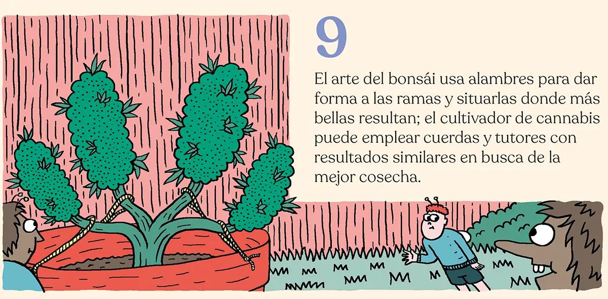 La simbiosis con la planta de cannabis