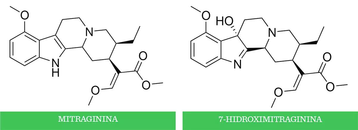 Mitraginina - 7-hidroximitraginina