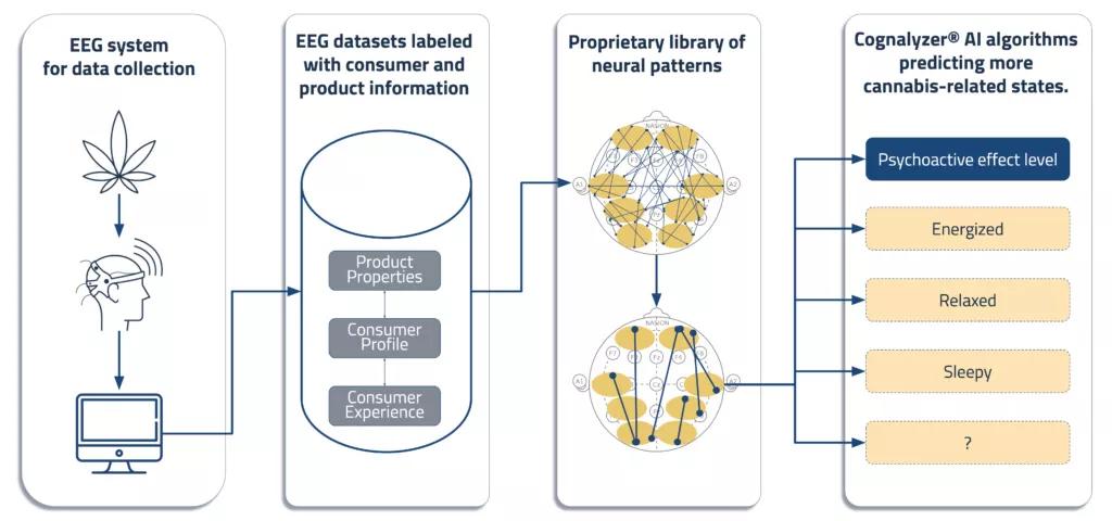 Cognalyzer®