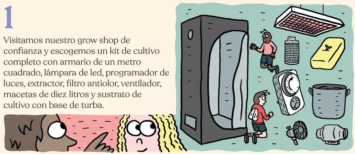 Diez pasos para montar el primer cultivo interior 